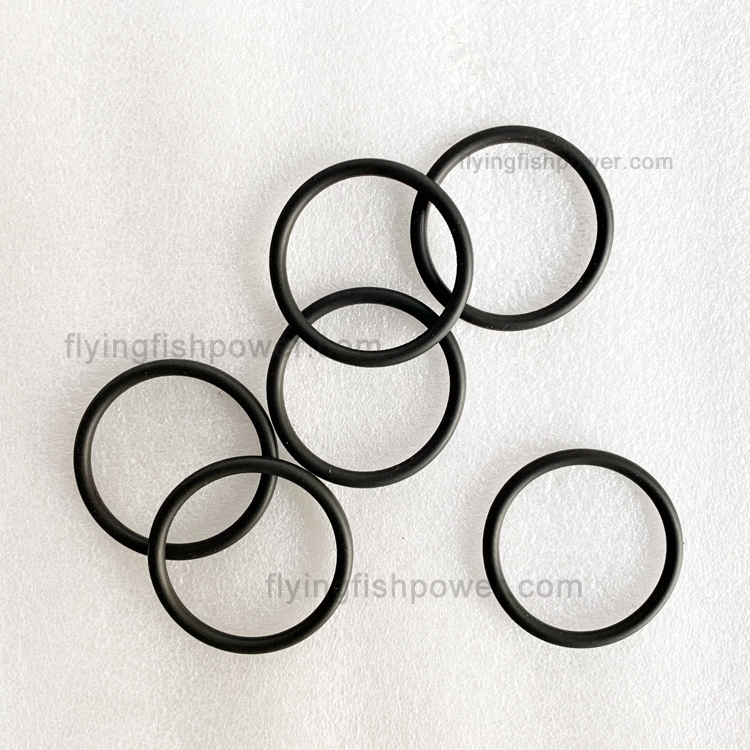 Volvo Engine Parts Fuel Injector O Ring Seal 20536487
