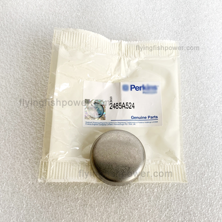 Wholesale Original Aftermarket Machinery Engine Parts Plug 2485A524 For Perkins